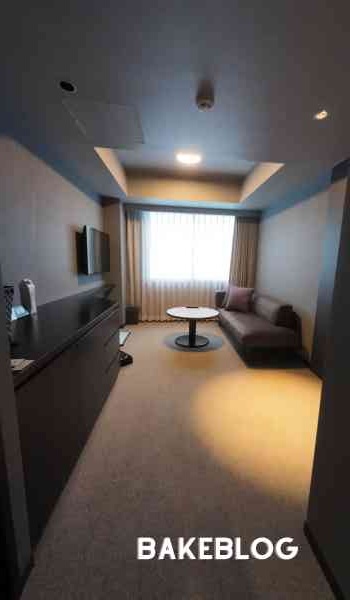 ホテル アンドドギー京都二条 口コミ ブログ 宿泊 料金